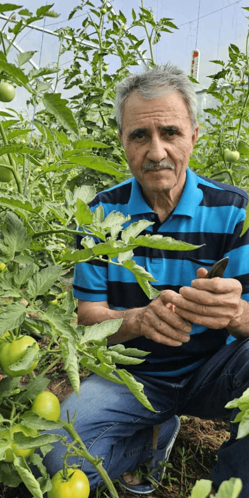 Am investit în muncă, iar roadele nu au întârziat să apară.